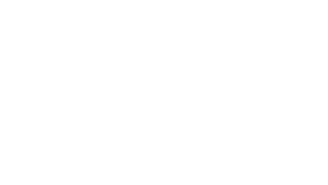 Thunderbird Fried Chicken logo
